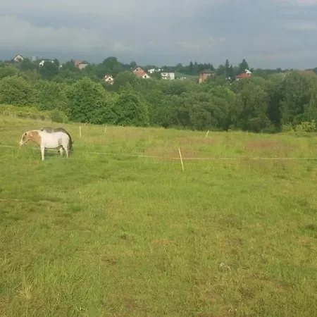 Luxury tent Uszate Ranczo Rybna (Krakow)
