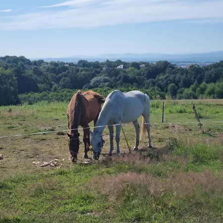 Uszate Ranczo Rybna (Krakow)