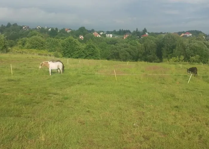 Lüks kamp alanı Uszate Ranczo Rybna (Krakow)