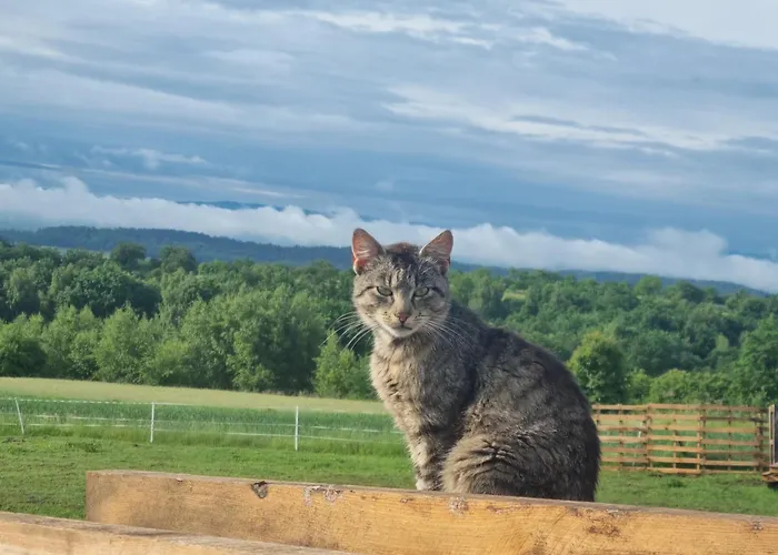 Lüks kamp alanı Uszate Ranczo Rybna (Krakow)