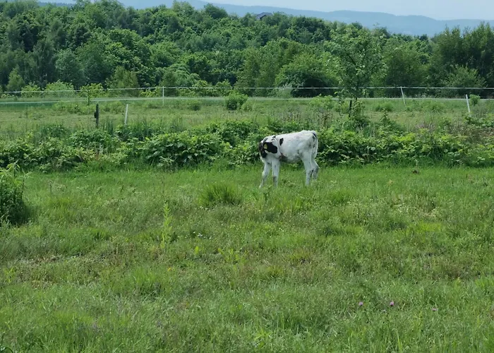 Lüks kamp alanı Uszate Ranczo