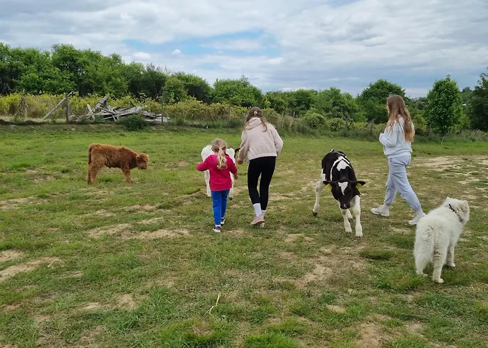 Lüks kamp alanı Uszate Ranczo Rybna (Krakow)