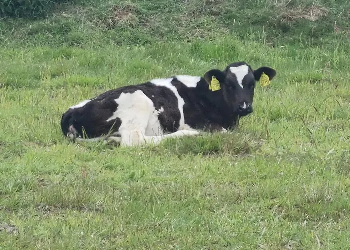 Lüks kamp alanı Uszate Ranczo Rybna (Krakow)