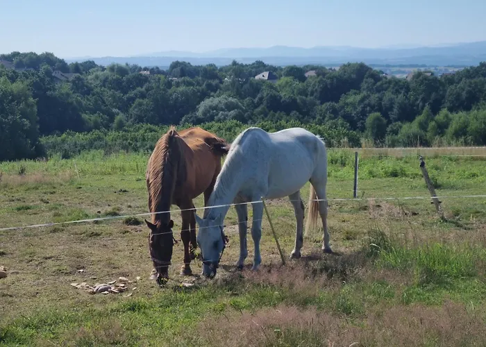 Uszate Ranczo Rybna (Krakow)